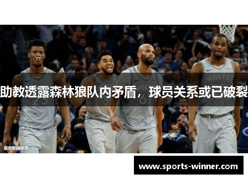 助教透露森林狼队内矛盾，球员关系或已破裂